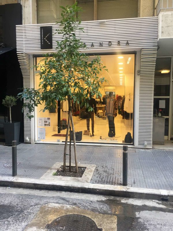 Terra kassandra κατάστημα Θεσσαλονίκης